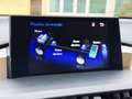 Lexus NX 300 300h Executive 4WD Rojo - thumbnail 24