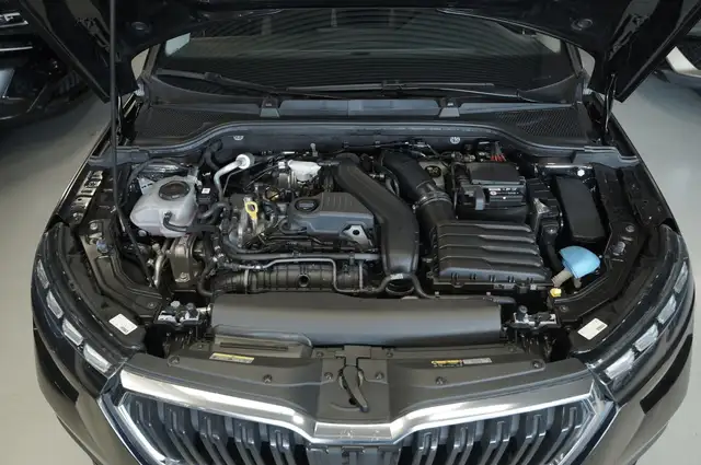Skoda Kamiq view 10