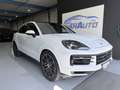 Porsche Cayenne E-Hybrid Blanco - thumbnail 1