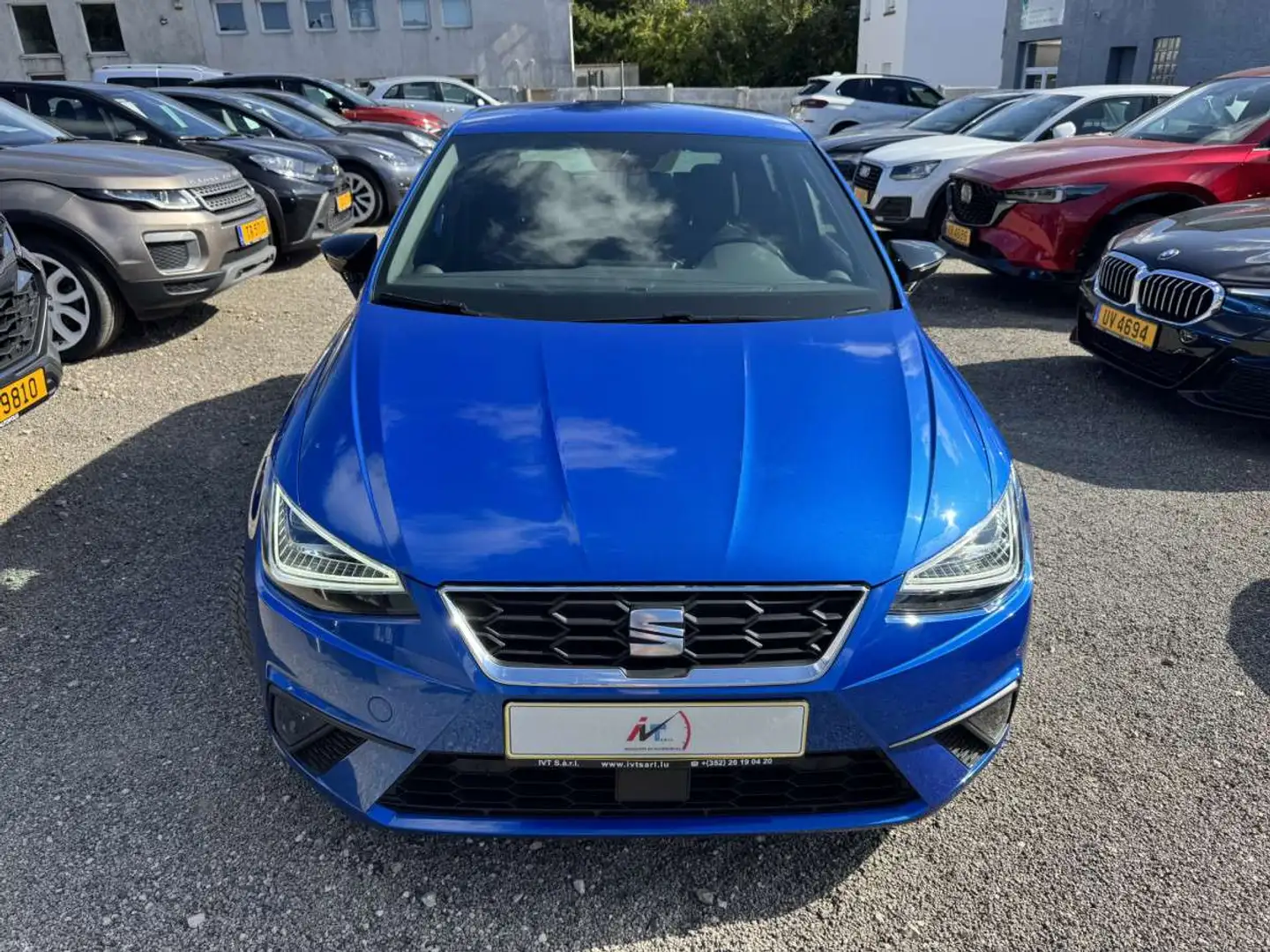 SEAT Ibiza 1.0 TSI 115 FR Bleu - 2