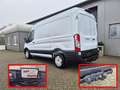 Ford Transit L2H2 2.0 EcoBlue 130PS Trend 3,5t 2-Sitzer AHK ... Weiß - thumbnail 4