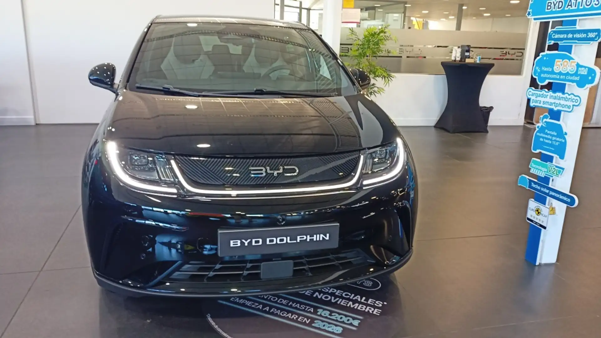 BYD Dolphin Design Negro - 1