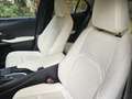 Lexus UX 250h Executive Line President pack  /Open dak/ NL-auto Gris - thumbnail 9