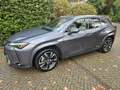 Lexus UX 250h Executive Line President pack  /Open dak/ NL-auto Gris - thumbnail 5
