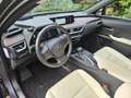 Lexus UX 250h Executive Line President pack  /Open dak/ NL-auto Gris - thumbnail 8