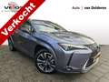 Lexus UX 250h Executive Line President pack  /Open dak/ NL-auto Gris - thumbnail 1