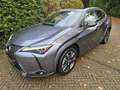 Lexus UX 250h Executive Line President pack  /Open dak/ NL-auto Gris - thumbnail 3