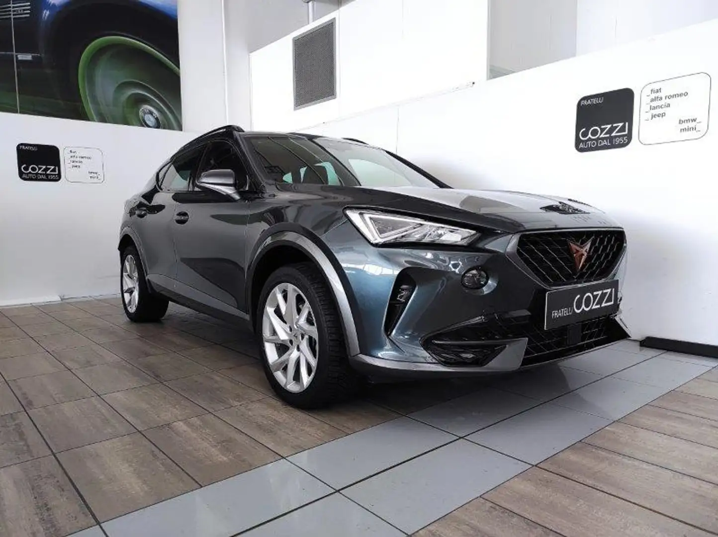 CUPRA Formentor - Formentor 2.0 TDI 4Drive DSG Grigio - 1