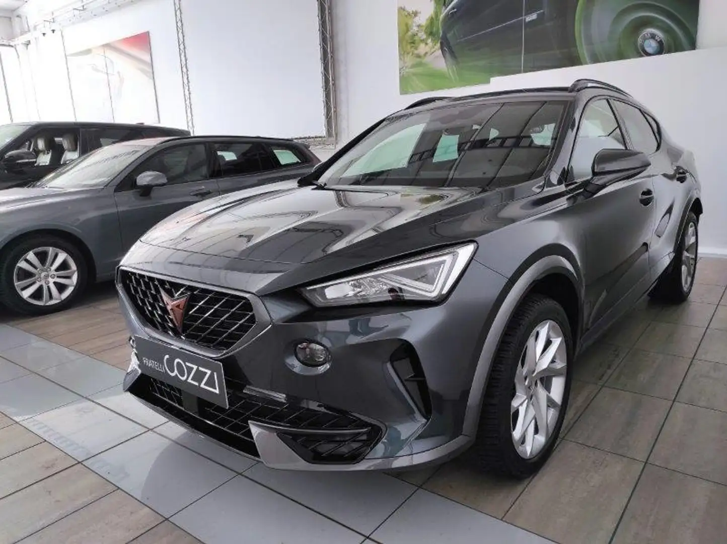 CUPRA Formentor - Formentor 2.0 TDI 4Drive DSG Grigio - 2