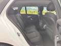 Mercedes-Benz C 180 C 180 d T / Sportsitze / Navi / Komfortfahrwerk Weiß - thumbnail 20