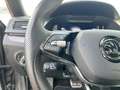 Skoda Superb Combi SportLine 4x4 2.0 TSI StandHZG AHK Grau - thumbnail 22