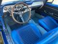 Ford Mustang Shelby Clone Cabrio, 351cui V8, Automatik,TÜV&H Blau - thumbnail 7