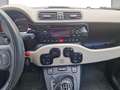 Fiat Panda Rockstar Rot - thumbnail 7