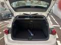 Volkswagen Golf Golf VIII 2020 1.0 etsi evo Life 110cv dsg Bianco - thumbnail 14