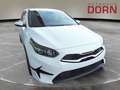 Kia Ceed SW / cee'd SW Spirit 1.5T DCT Technologie-Paket Kamera Navi uvm. Weiß - thumbnail 3