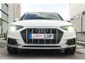 Audi A4 allroad 45 TDI quattro tiptronic 170kW Blanco - thumbnail 34
