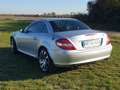 Mercedes-Benz SLK 350 SLK 350 7G-TRONIC Argent - thumbnail 6