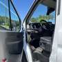 Ford Transit Custom FORD Industrial  Manual de 4 Puerta Blanco - thumbnail 13