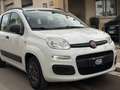 Fiat Panda 1.2 69 Lounge Bianco - thumbnail 2