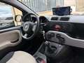 Fiat Panda 1.2 69 Lounge Bianco - thumbnail 9