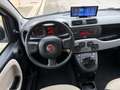 Fiat Panda 1.2 69 Lounge Bianco - thumbnail 19