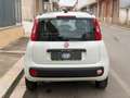 Fiat Panda 1.2 69 Lounge Bianco - thumbnail 4
