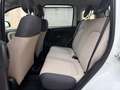Fiat Panda 1.2 69 Lounge Bianco - thumbnail 11