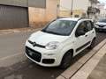 Fiat Panda 1.2 69 Lounge Bianco - thumbnail 6