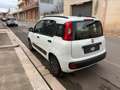 Fiat Panda 1.2 69 Lounge Bianco - thumbnail 5