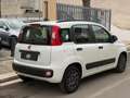Fiat Panda 1.2 69 Lounge Bianco - thumbnail 3