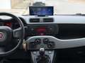 Fiat Panda 1.2 69 Lounge Bianco - thumbnail 13