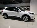 Ford Kuga 1.5 EcoBoost Trend FWD 150 Blanco - thumbnail 13