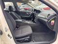 Mercedes-Benz C 220 T CDI BlueEfficiency PTS Blanco - thumbnail 14