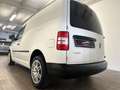 Volkswagen Caddy CADDY Van 4p DSG AUTOMATICO Bianco - thumbnail 9