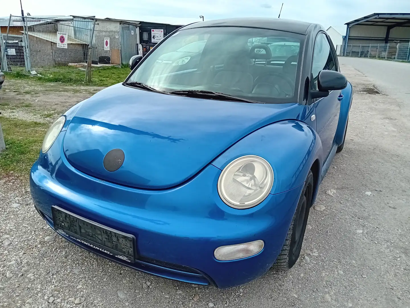 Volkswagen Beetle Bleu - 1