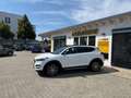 Hyundai TUCSON 1.6 Passion + 4WD 130 kW (177 PS), Schalt. 6-Ga... Blanc - thumbnail 37