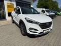 Hyundai TUCSON 1.6 Passion + 4WD 130 kW (177 PS), Schalt. 6-Ga... Blanc - thumbnail 2