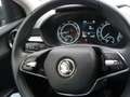 Skoda Fabia Selection Grau - thumbnail 9