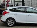 Ford Focus 1.0 Champions League Navi Nw APK Stoel VW Park.sen Blanc - thumbnail 34