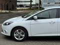 Ford Focus 1.0 Champions League Navi Nw APK Stoel VW Park.sen Blanc - thumbnail 7