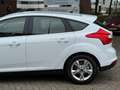 Ford Focus 1.0 Champions League Navi Nw APK Stoel VW Park.sen Blanc - thumbnail 8
