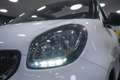 smart forTwo Fortwo Cabrio ed Weiß - thumbnail 10