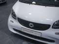 smart forTwo Fortwo Cabrio ed Weiß - thumbnail 15