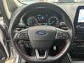 Ford EcoSport ST-Line Xenon+Navi+Winterpaket+Kamera Argent - thumbnail 10