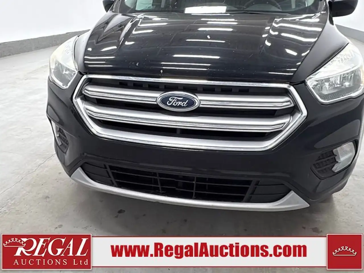 Ford Escape fotografie Ford Escape