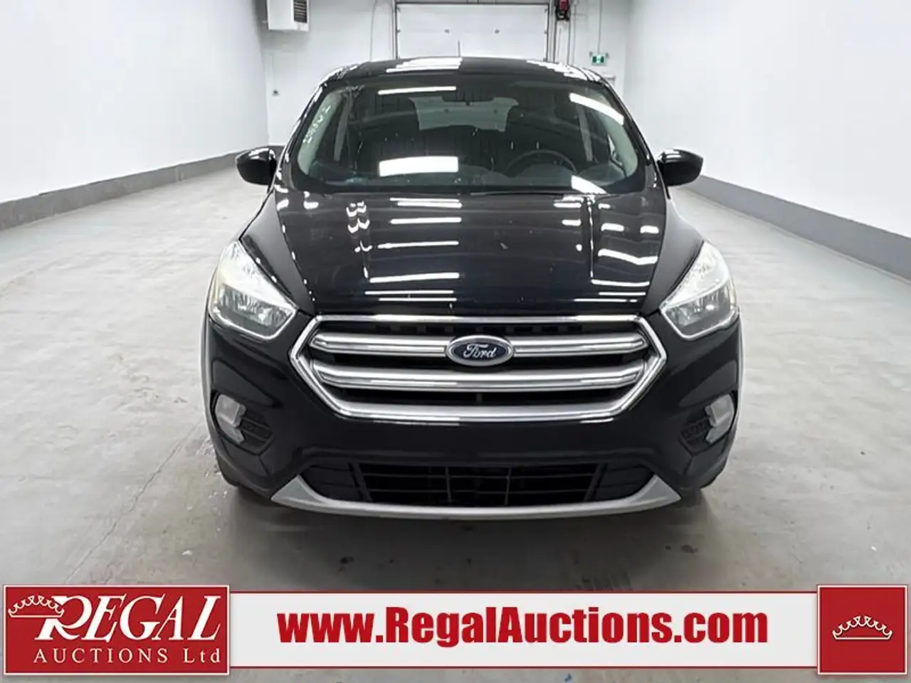 Ford Escape fotografie Ford Escape