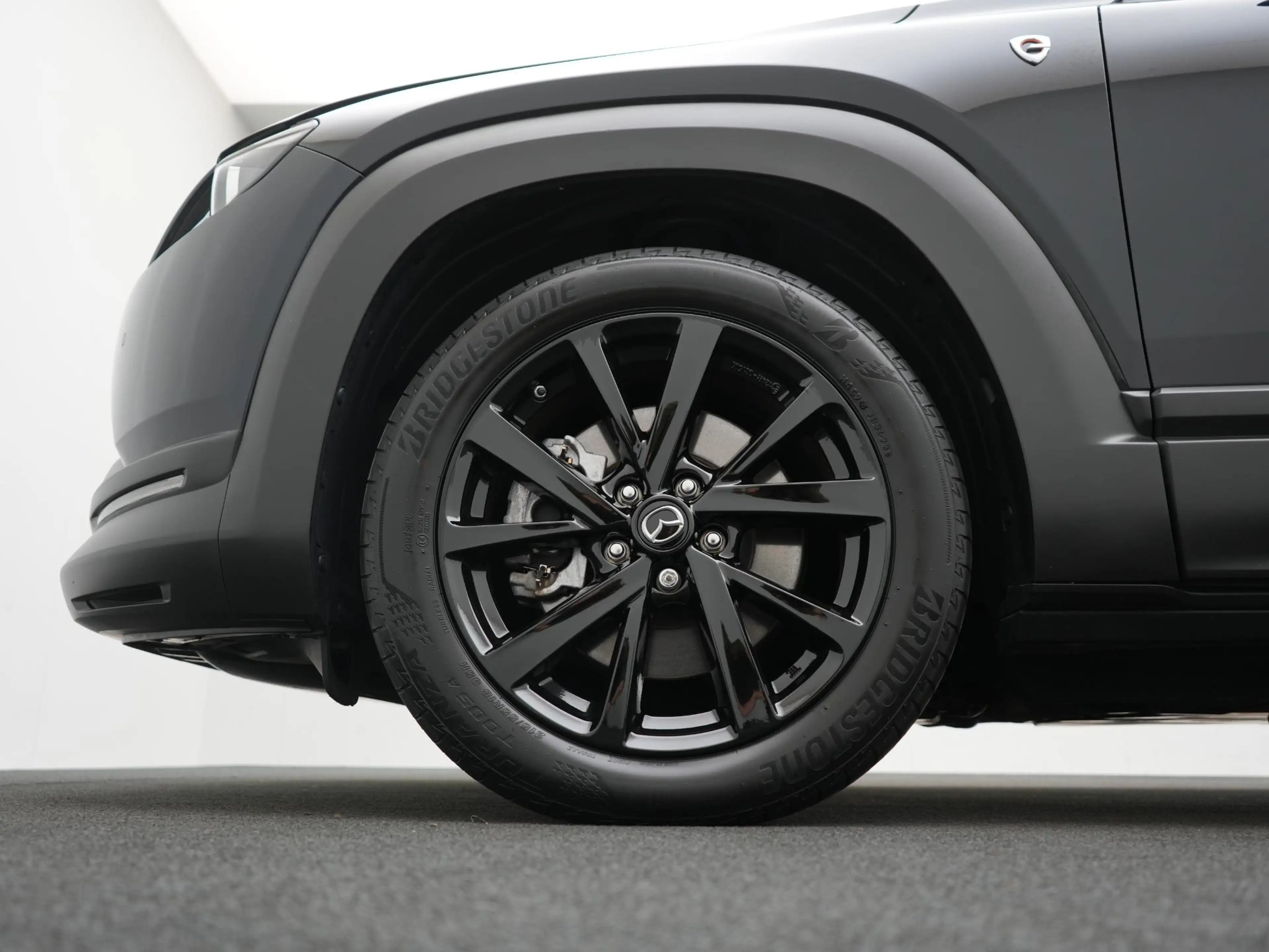 Mazda MX-30 e-SkyActiv R-EV Edition R : dealer onderhouden — photo 9