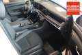 Hyundai TUCSON 1.6 T-GDI DCT MHEV 160PS PRIME MATRIX-LED/HEAD-... Blanco - thumbnail 5