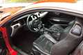 Ford Mustang Mustang 5,0 Ti-VCT V8 GT Aut. GT Rot - thumbnail 6