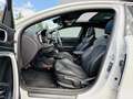 Kia ProCeed / pro_cee'd 1.5 T-GDi GT-Line Automaat|Panoramadak|Stoelen & S Blanc - thumbnail 29